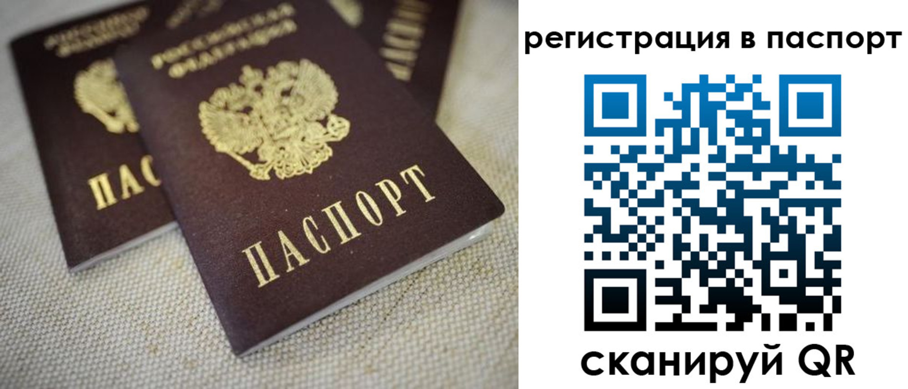 прописка гарантия в Углегорске
